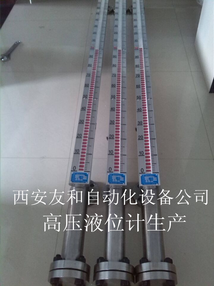 磁翻板液位計圖片/磁翻板液位計樣板圖 (3)