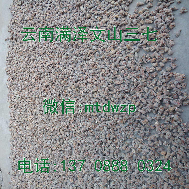 文山三七網(wǎng)圖片/文山三七網(wǎng)樣板圖 (1)