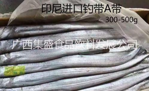 印度帶魚圖片/印度帶魚樣板圖 (4)