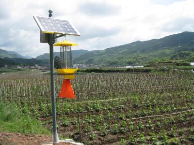 太陽能殺蟲燈圖片/太陽能殺蟲燈樣板圖 (1)
