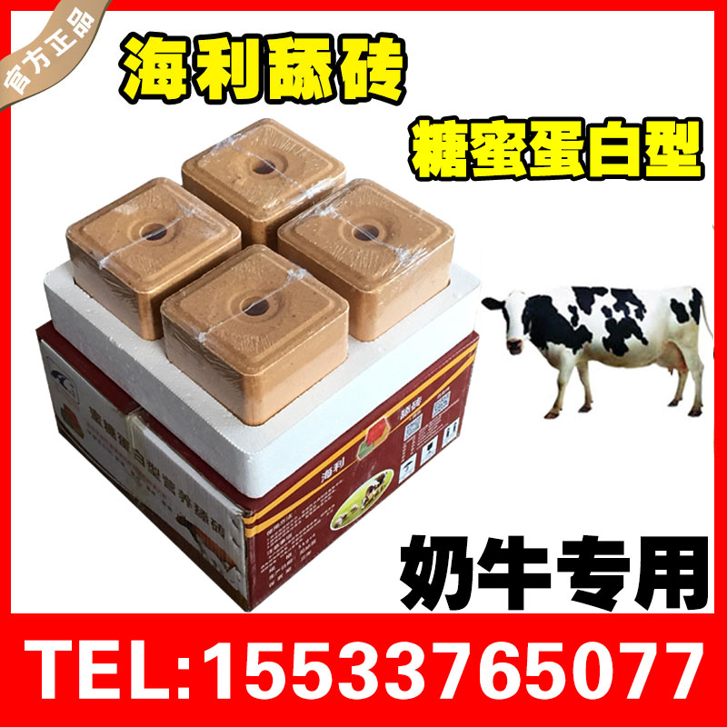 牛羊舔磚圖片/牛羊舔磚樣板圖 (1)