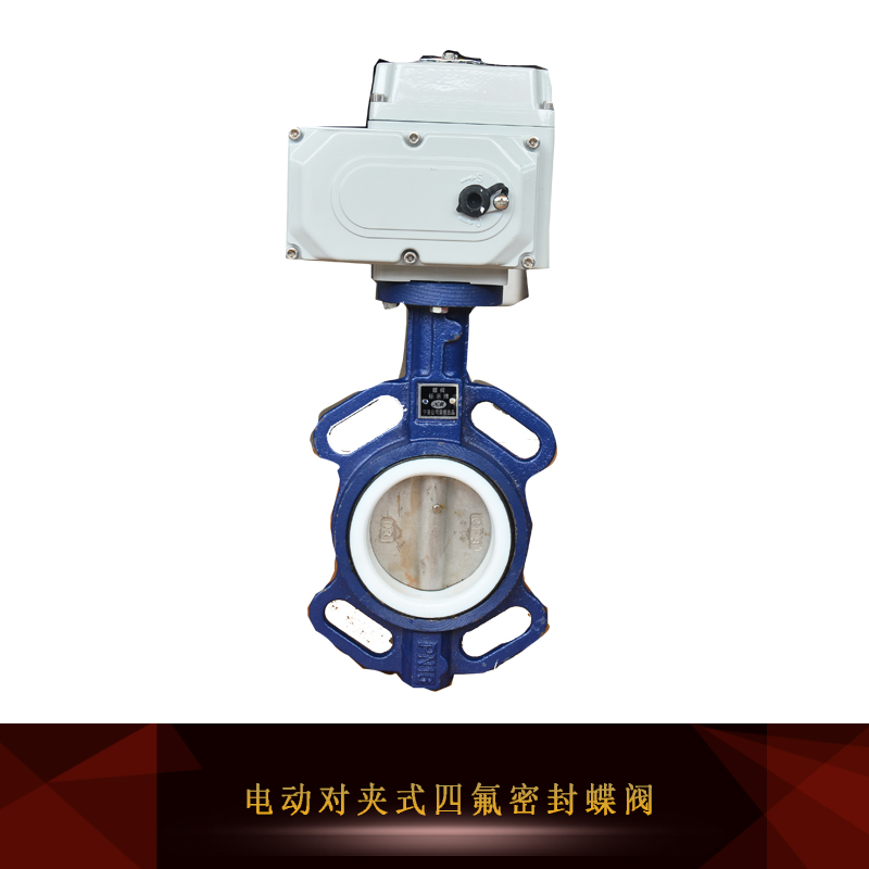 電動(dòng)對(duì)夾式四氟密封蝶閥圖片