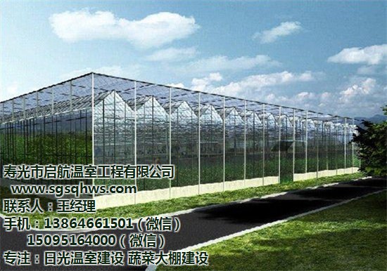 供應(yīng)用于生態(tài)園|生態(tài)餐廳|蔬菜花卉育苗的玻璃智能溫室