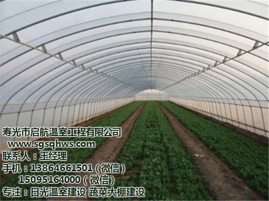 供應(yīng)蔬菜大棚    全鋼架拱棚    壽光市啟航溫室