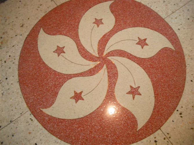 固化地坪圖片/固化地坪樣板圖 (3)