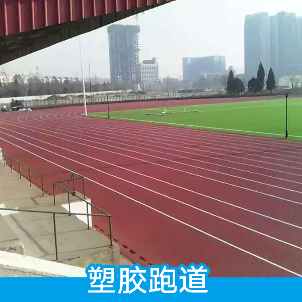 塑膠跑道圖片/塑膠跑道樣板圖 (4)