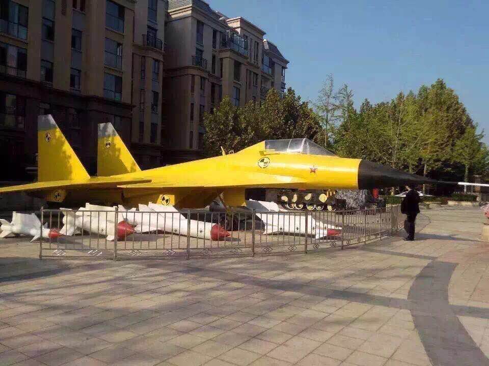 殲15 殲10 飛機(jī)模型 出租圖片/殲15 殲10 飛機(jī)模型 出租樣板圖 (4)