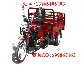 大江風(fēng)暴Ⅱ代125三輪摩托車圖片/大江風(fēng)暴Ⅱ代125三輪摩托車樣板圖 (4)