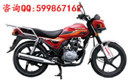 新大洲本田圖片/新大洲本田樣板圖 (3)