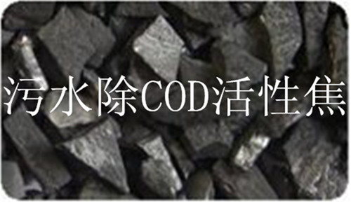 煤質(zhì)活性炭圖片/煤質(zhì)活性炭樣板圖 (4)