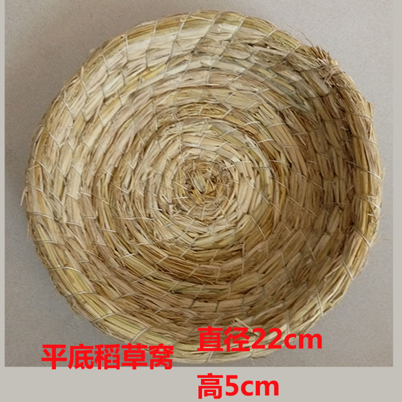 鴿子圖片/鴿子樣板圖 (2)