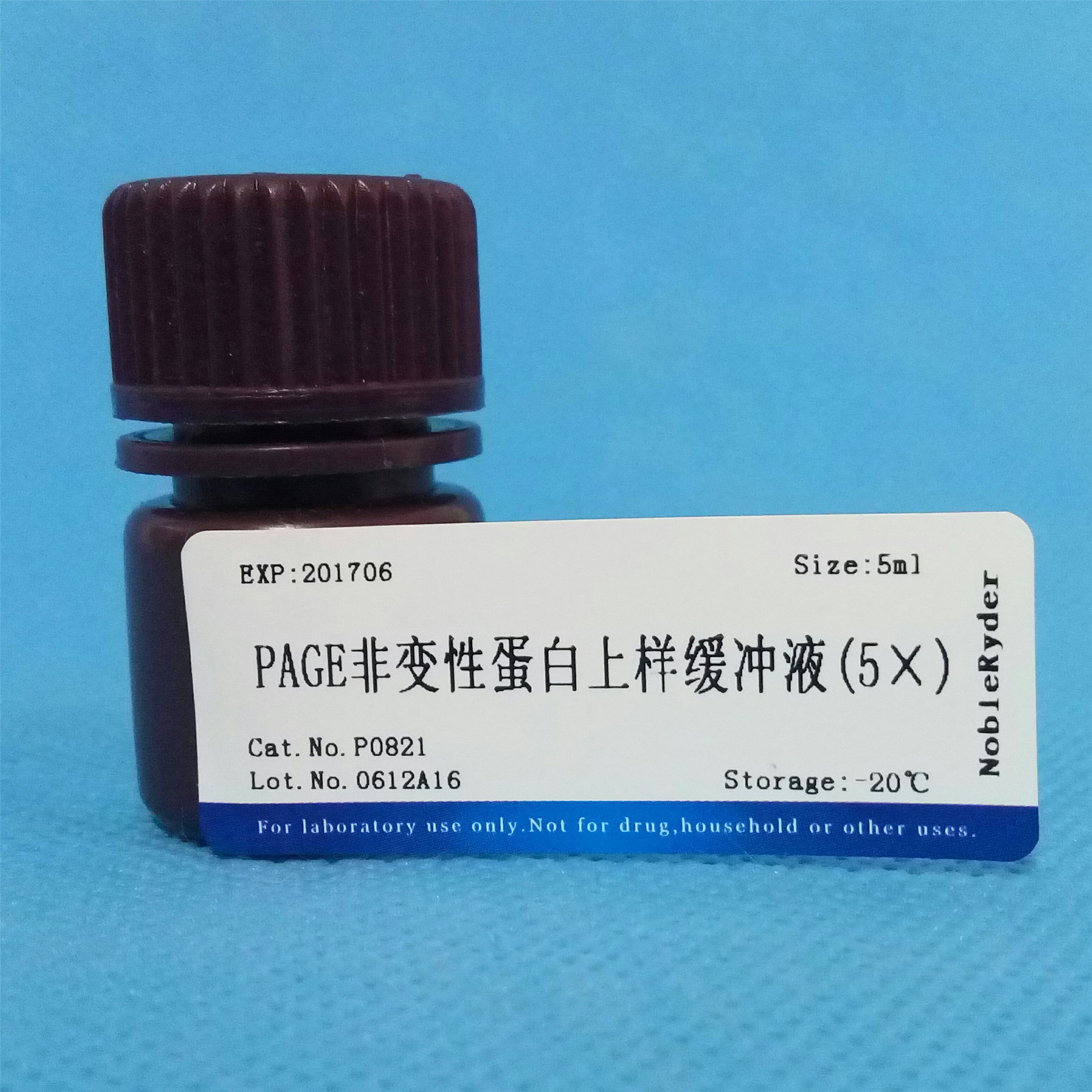 PAGE非變性蛋白上樣緩沖液(5圖片/PAGE非變性蛋白上樣緩沖液(5樣板圖 (1)