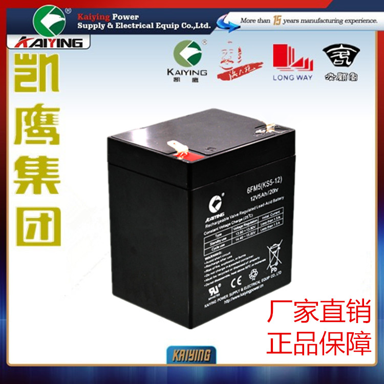 12V5AH音響*電池電動(dòng)卷門電池油煙機(jī)電池探照燈門禁對(duì)講電池