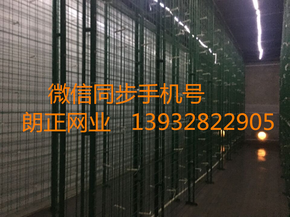 格網(wǎng)架圖片/格網(wǎng)架樣板圖 (1)
