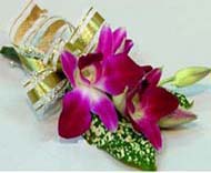 北京花卉租賃圖片/北京花卉租賃樣板圖 (1)