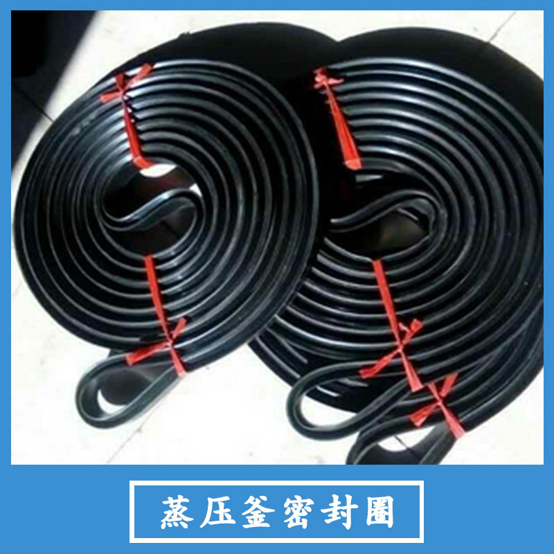 蒸壓釜密封圈圖片/蒸壓釜密封圈樣板圖 (3)