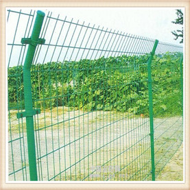 鐵絲網(wǎng)圖片/鐵絲網(wǎng)樣板圖 (3)