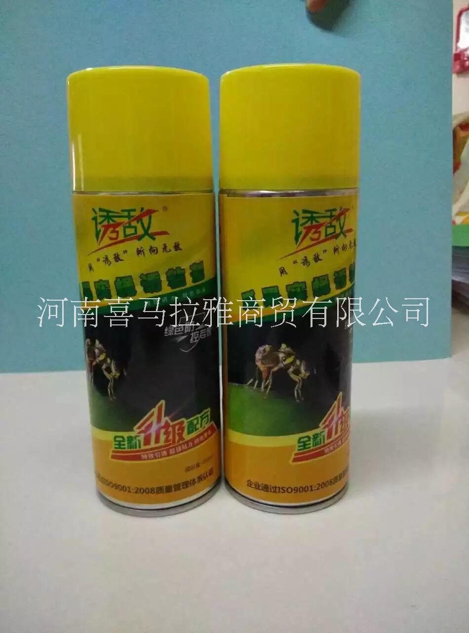 瓜果實蠅誘粘劑