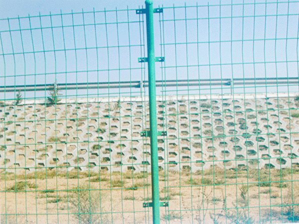 鐵絲網(wǎng)圖片/鐵絲網(wǎng)樣板圖 (4)