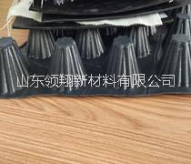 隧道防水板圖片/隧道防水板樣板圖 (2)