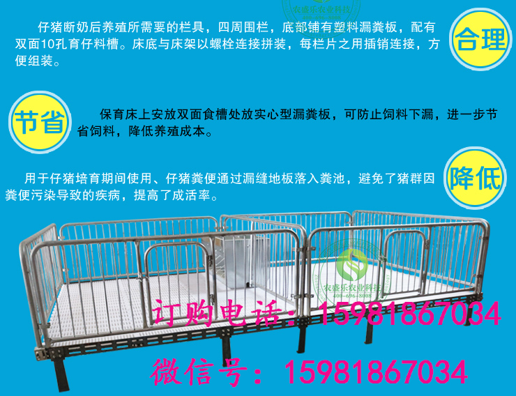 热镀锌连体猪保育床仔猪保育床断奶 热镀锌连体猪保育床在天津市供货商