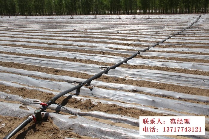 灌溉管材價格圖片/灌溉管材價格樣板圖 (2)