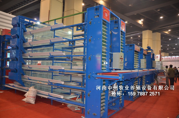 A型雞籠圖片/A型雞籠樣板圖 (4)