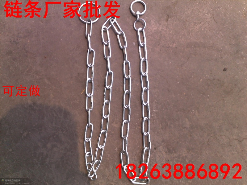 鍍鋅鏈條，護(hù)欄鐵鏈圖片/鍍鋅鏈條，護(hù)欄鐵鏈樣板圖 (3)