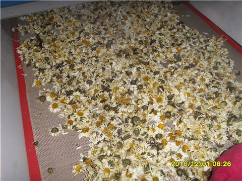 菊花微波干燥設(shè)備