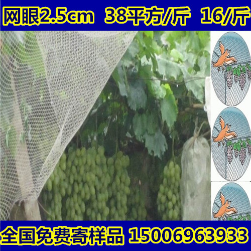 魚塘圖片/魚塘樣板圖 (2)
