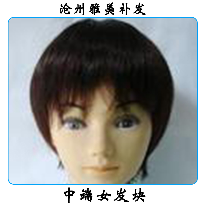 中端女發(fā)塊 透氣隱無(wú)痕補(bǔ)發(fā)發(fā)塊 真人發(fā)女士發(fā)塊 假發(fā)纖維網(wǎng)發(fā)塊