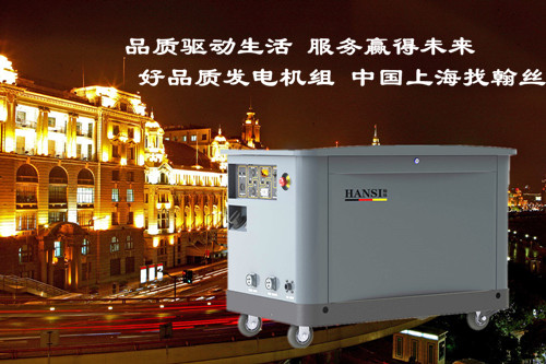 工業(yè)用電20KW汽油發(fā)電機組圖片