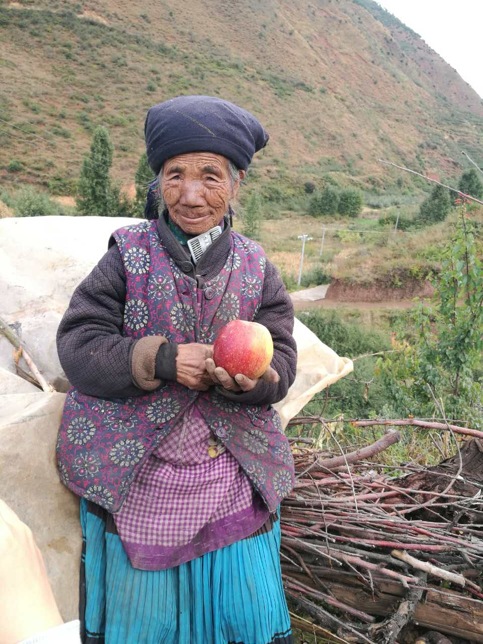 蘋果富士圖片/蘋果富士樣板圖 (1)