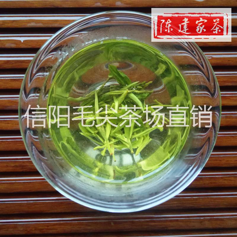 信陽毛尖圖片/信陽毛尖樣板圖 (2)
