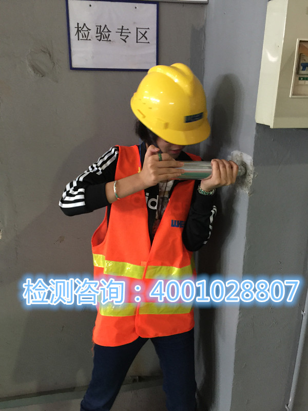 房屋質(zhì)量檢測(cè)圖片/房屋質(zhì)量檢測(cè)樣板圖 (3)