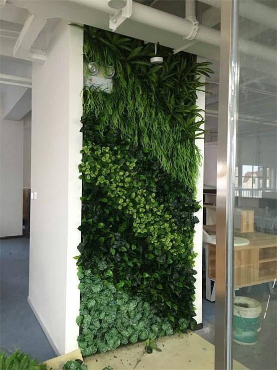 綠植墻圖片/綠植墻樣板圖 (3)