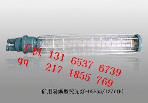 DGS55/127Y(B) 矿用隔爆型荧光灯-生产厂家