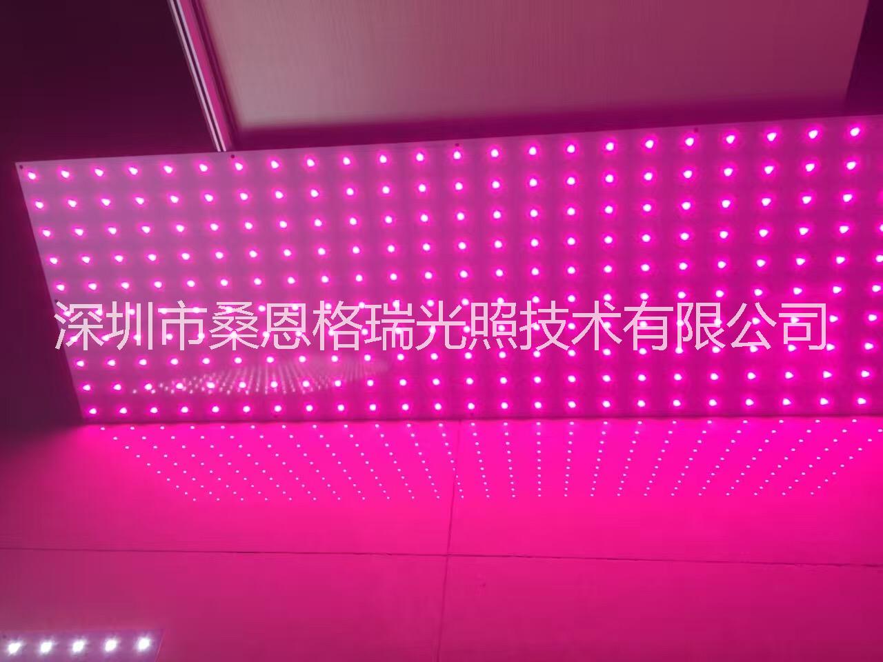 蔬菜工廠專用補(bǔ)光燈平板設(shè)計(jì)圖片/蔬菜工廠專用補(bǔ)光燈平板設(shè)計(jì)樣板圖 (3)