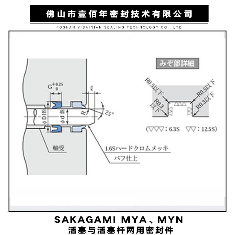 MYN 活塞與活塞桿兩用密封件圖片/MYN 活塞與活塞桿兩用密封件樣板圖 (2)