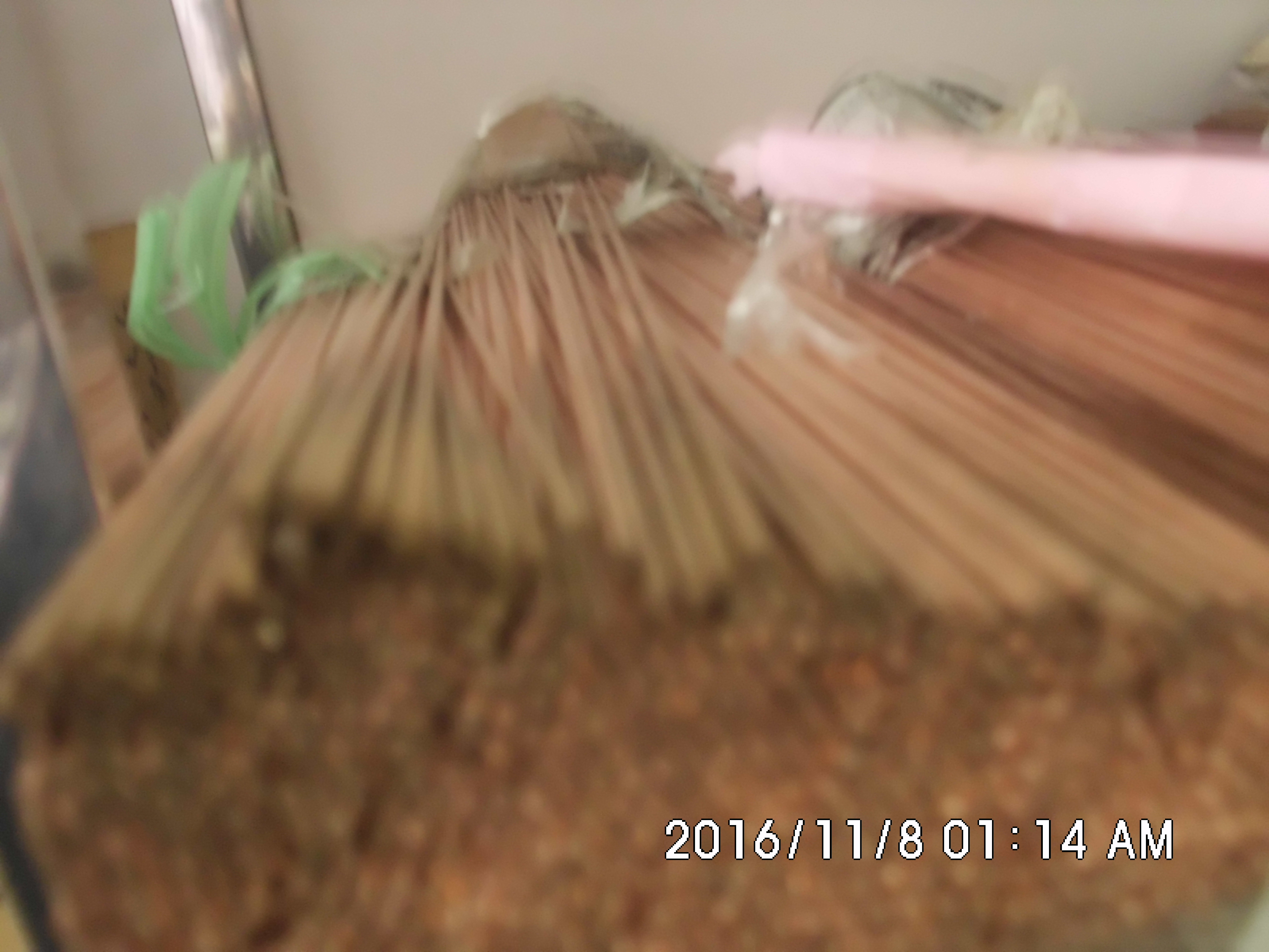 點(diǎn)焊針圖片/點(diǎn)焊針樣板圖 (1)