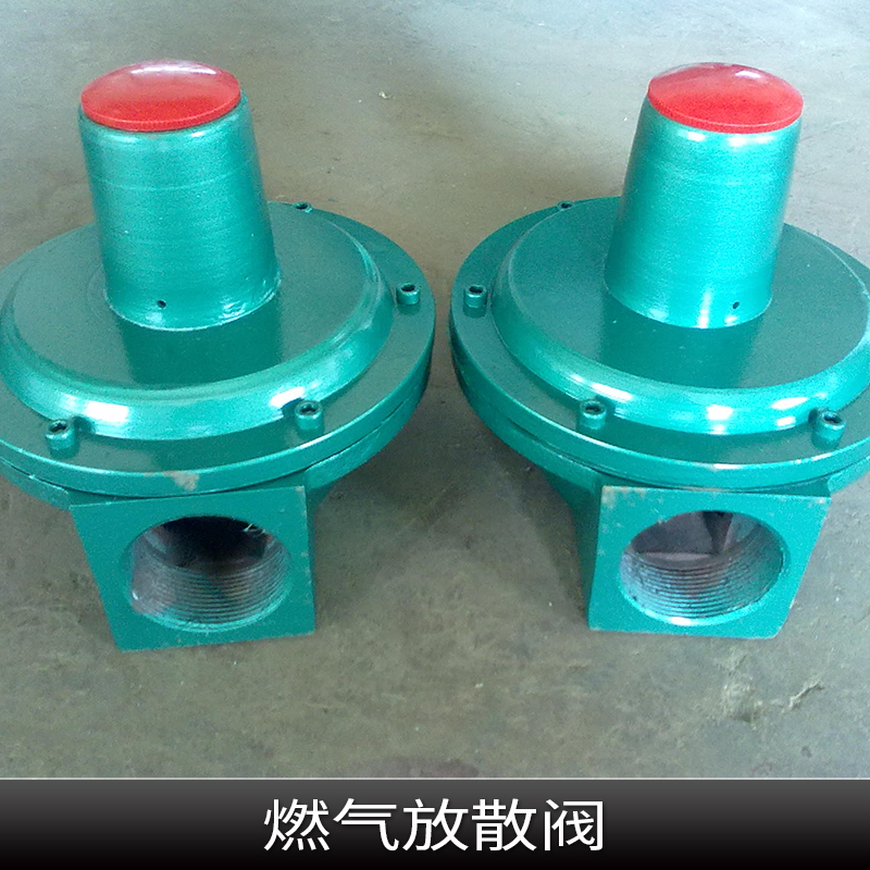 燃?xì)夥派㈤y圖片/燃?xì)夥派㈤y樣板圖 (2)