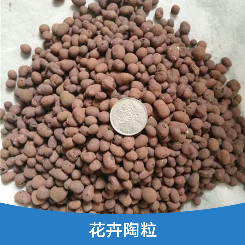 花卉陶粒圖片/花卉陶粒樣板圖 (4)