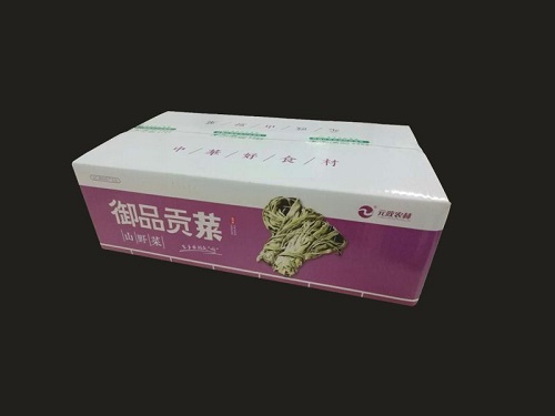 苔菜圖片/苔菜樣板圖 (4)