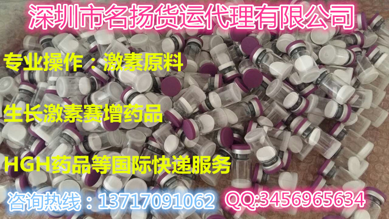 伊朗圖片/伊朗樣板圖 (1)
