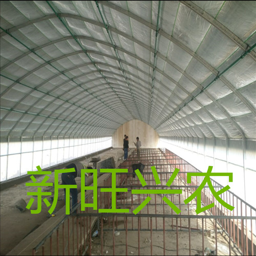 河北新旺興農(nóng)種植大棚建設(shè)生產(chǎn)廠家圖片/河北新旺興農(nóng)種植大棚建設(shè)生產(chǎn)廠家樣板圖 (1)