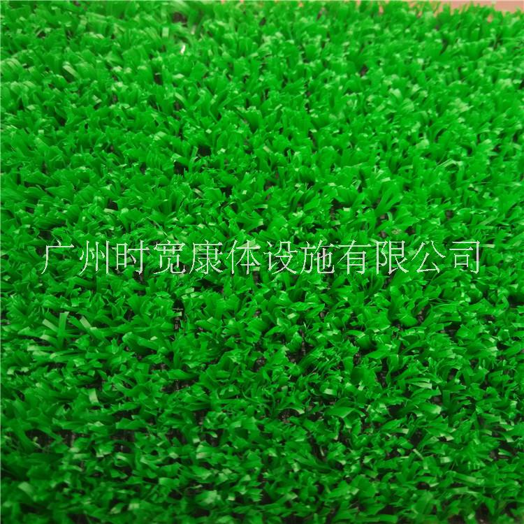 塑料草圖片/塑料草樣板圖 (3)