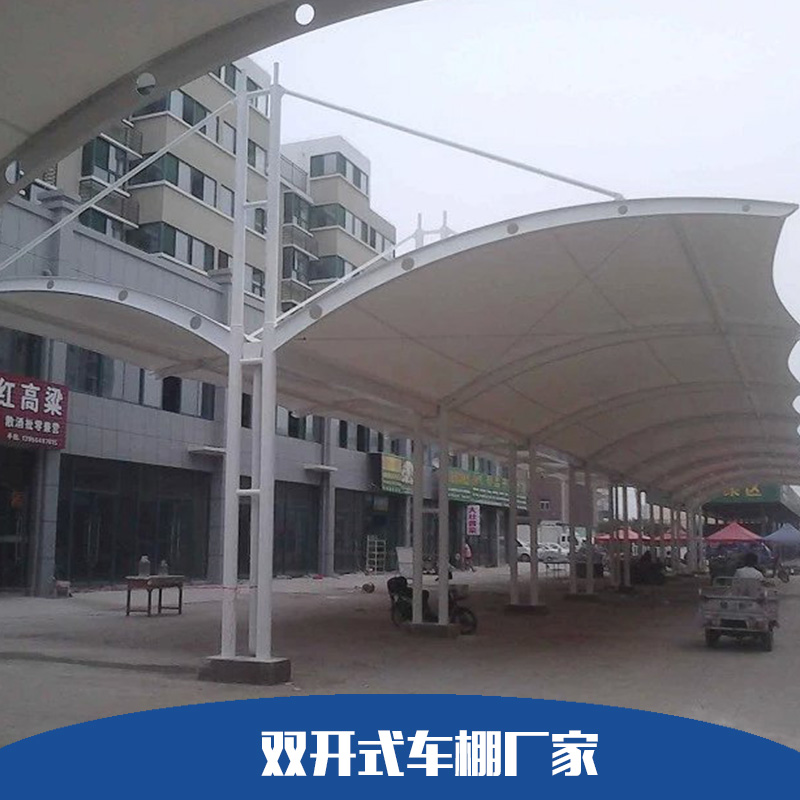 雙開式車棚廠家圖片/雙開式車棚廠家樣板圖 (3)