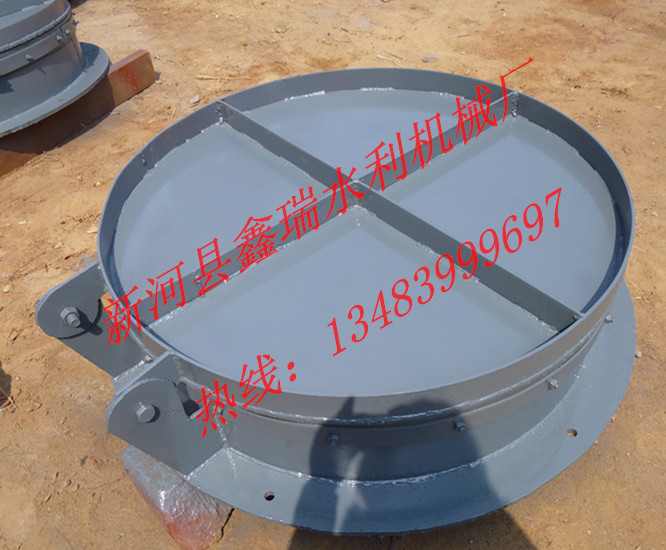 鋼制拍門圖片/鋼制拍門樣板圖 (3)