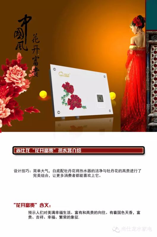供應(yīng)尚仕龍即熱式熱水器