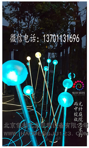 光纖蘆葦燈哪家好圖片/光纖蘆葦燈哪家好樣板圖 (3)